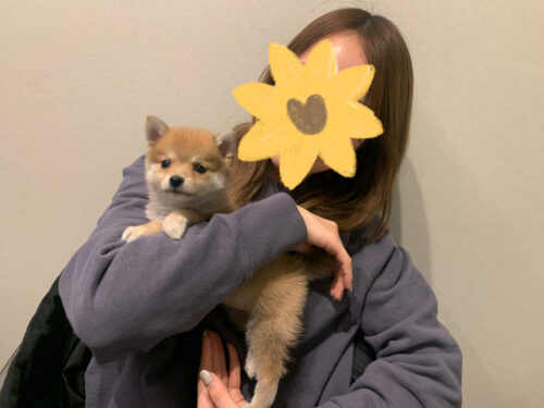 ぼんじりちゃん