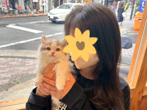 ティアラちゃん