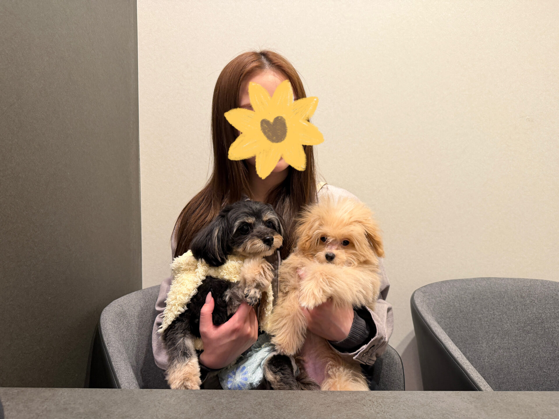 チャーハンくん