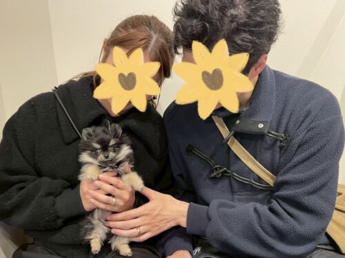 たんやおちゃん