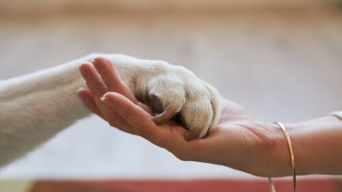 2.信頼のパートナーシップ