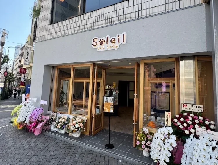ペットショップ ソレイユ 恵比寿店