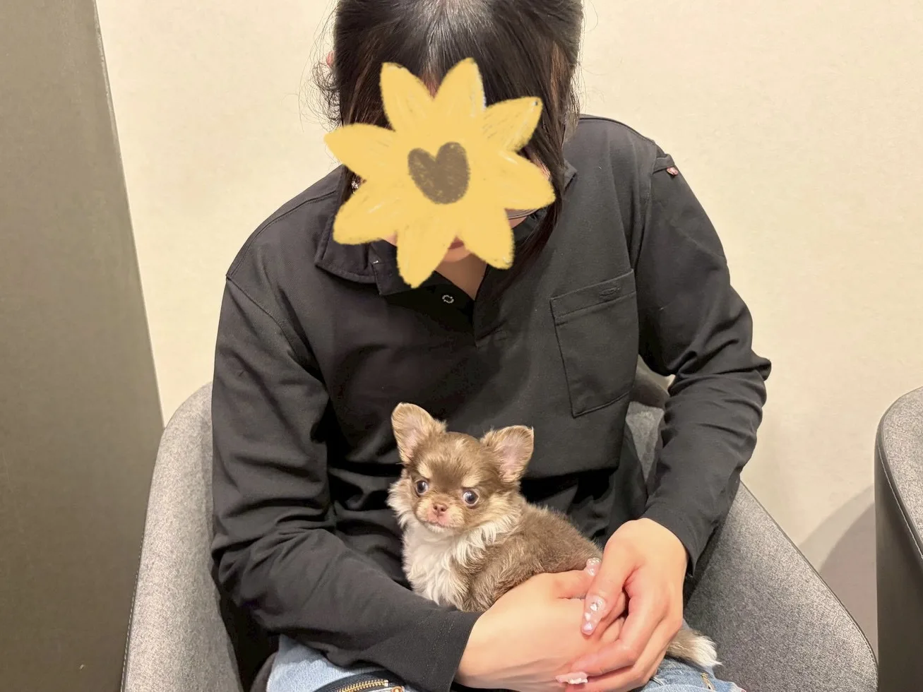 チマちゃん