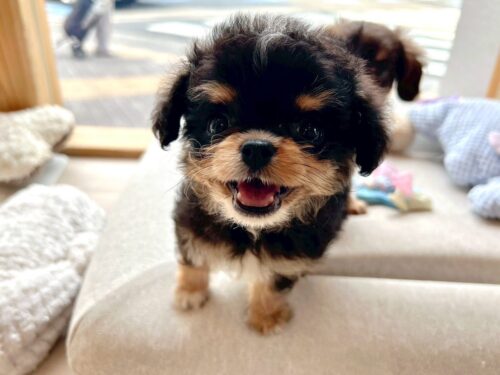 店舗での取り組み