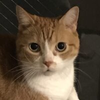 遠山　洋美（Hiromi Toyama）