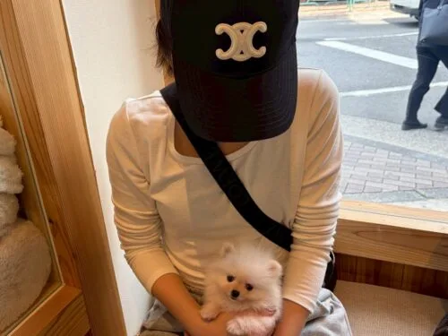 おさとうちゃん