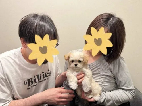 ほたてくん