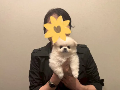 つむぎちゃん
