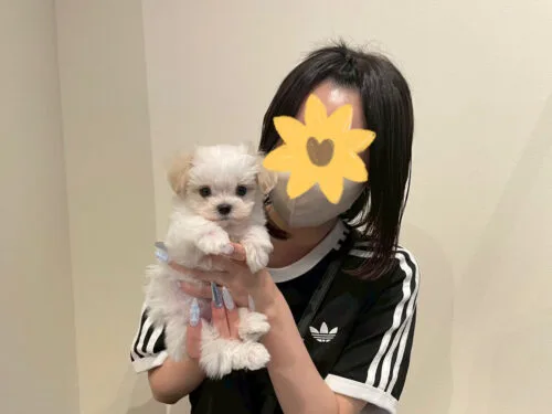 ミルくん