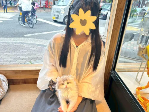 ルナちゃん