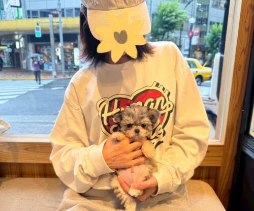 とろろくん