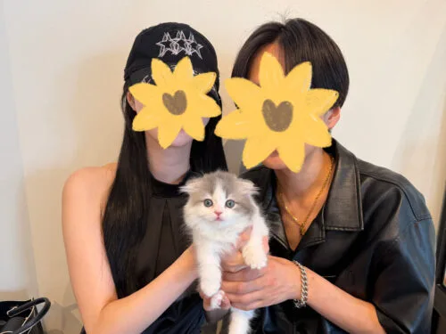 にぼしちゃん