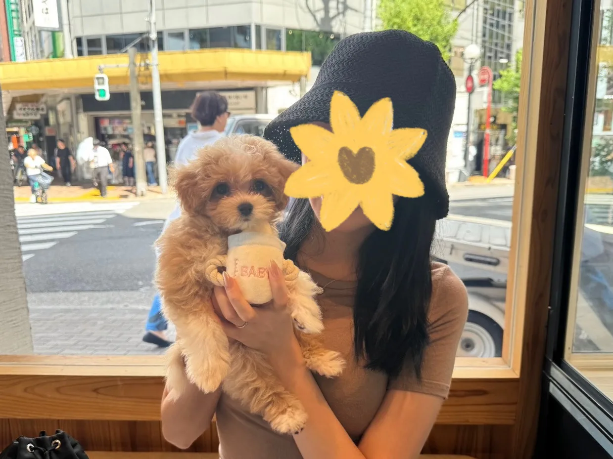 ぽんずくん