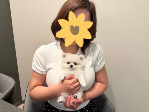 しろたんちゃん