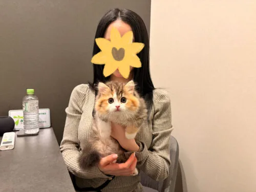 トマトちゃん