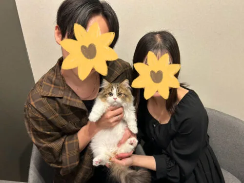 琥珀くん