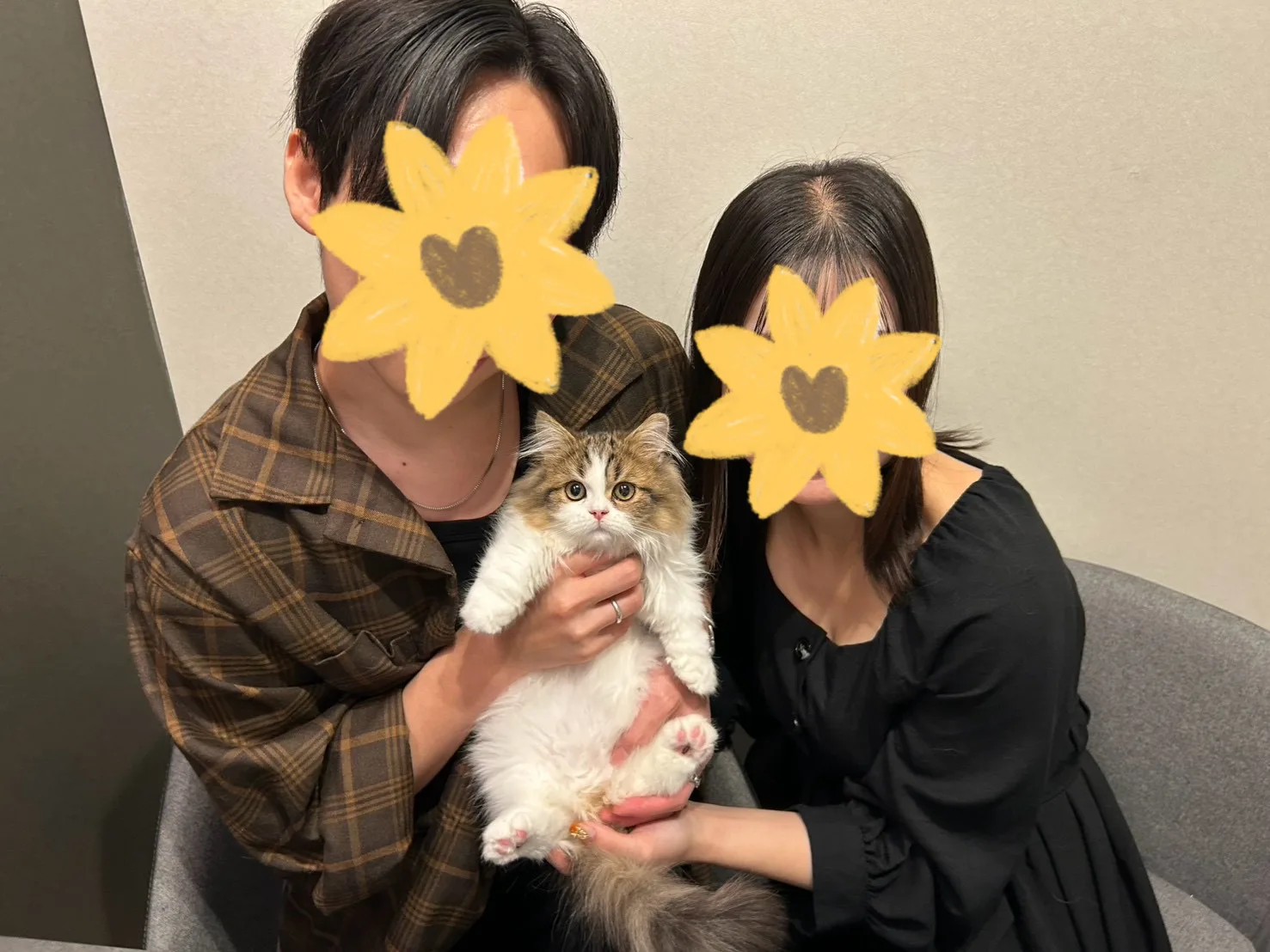 琥珀くん