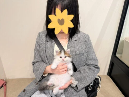てんてんくん