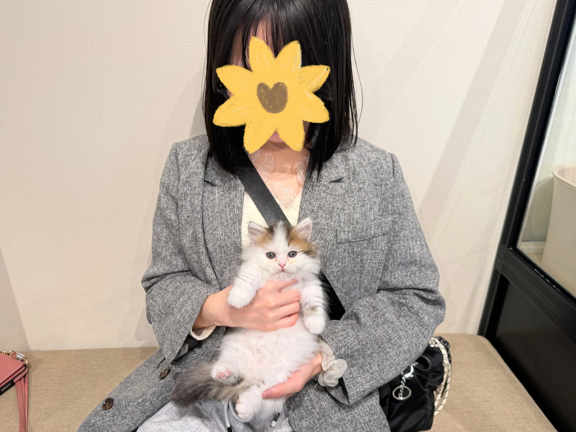 てんてんくん