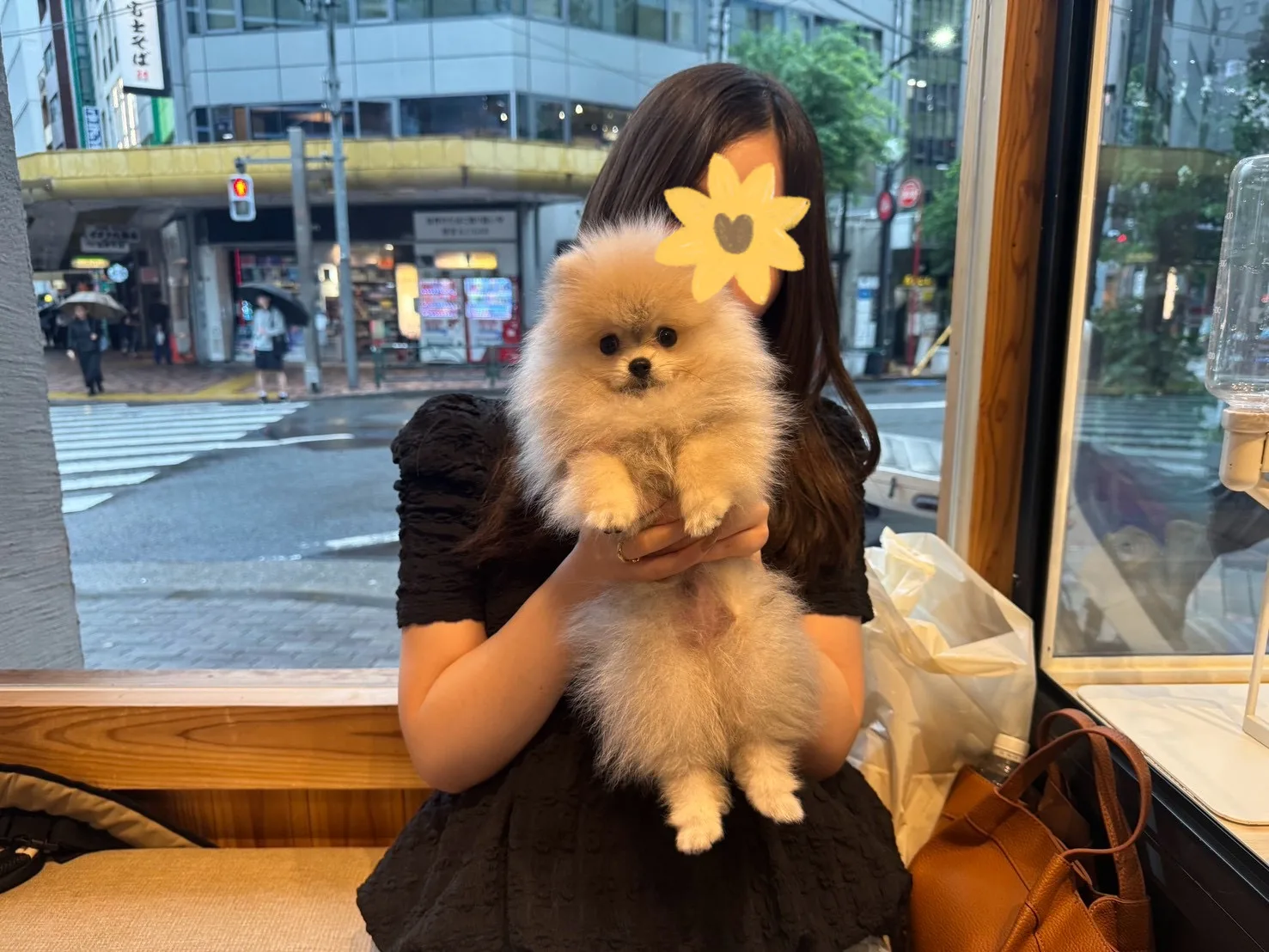 メルくん
