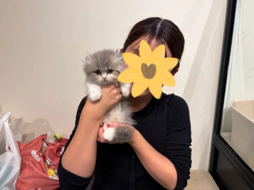 わたあめちゃん